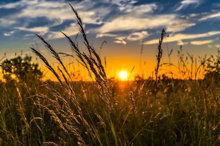 Zonsondergang horizon - natura 2000 gebied